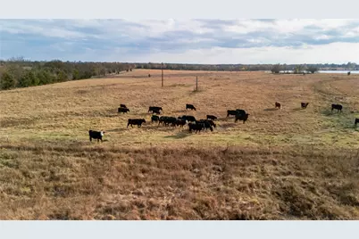 Tbd County Rd 3255, Clarksville, TX 75426 - Photo 29