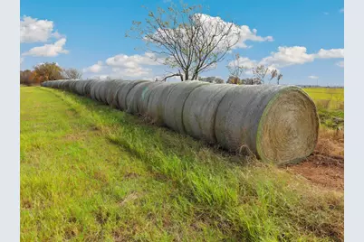 0 Buck Creek Road, Pilot Point, TX 76258 - Photo 3