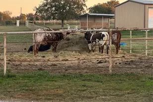 120 Don Propp Rd, Azle, TX 76020 - Photo 21