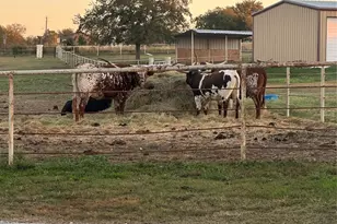 120 Don Propp Rd, Azle, TX 76020 - Photo 21