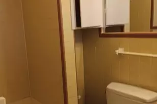 729 Blueberry Ln, Grand Prairie, TX 75052 - Photo 13