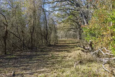 7581 Hwy 24, Commerce, TX 75428 - Photo 33