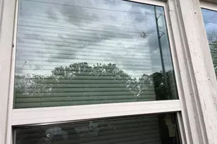 4224 Ramey Ave, Fort Worth, TX 76105 - Photo 7