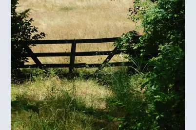 Tbd Fm-272, Celeste, TX 75423 - Photo 11