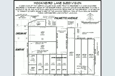 Lot 13 Mockingbird Lane, Plain Dealing, LA 71064 - Photo 3