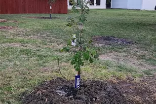 200 Seagull Ct, Irving, TX 75060 - Photo 35