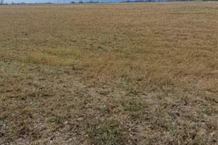 Tract 9-10 County Rd 3216, Lone Oak, TX 75453 - Photo 1
