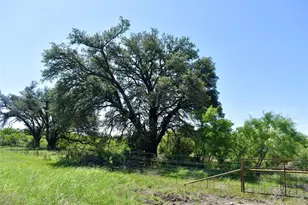 8228 US Hwy 377, Tolar, TX 76872 - Photo 31