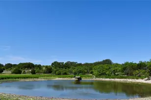 8228 US Hwy 377, Tolar, TX 76872 - Photo 23