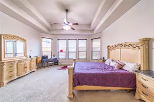 720 Nighthawk Dr, Murphy, TX 75094 - Photo 19