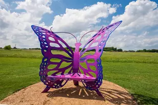 224 Bay Laurel Rd, McKinney, TX 75071 - Photo 37