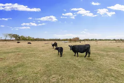 1436 County Road 2320 #2, Como, TX 75431 - Photo 7