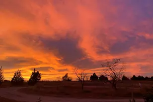 831 Cullins Rd, Rockwall, TX 75032 - Photo 29