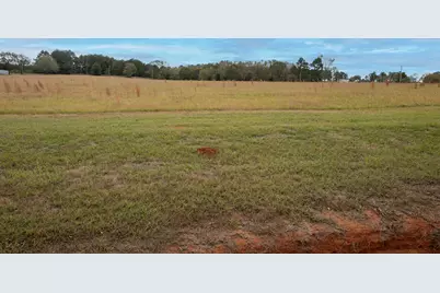 Lt 7  0 Tbd Fm 1892, Frankston, TX 75763 - Photo 3