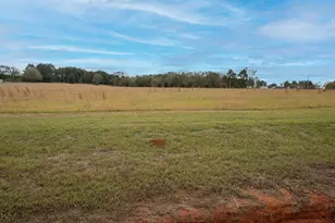 Lt 7 0 Tbd Fm 1892, Frankston, TX 75763 - Photo 3