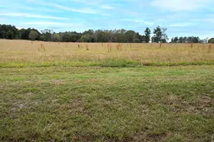 Lt 6 0 Tbd Fm 1892, Frankston, TX 75763 - Photo 3