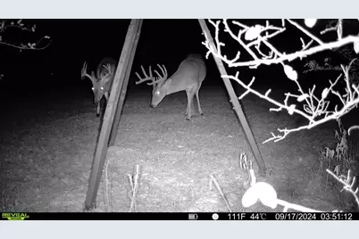 692 County Road 3318, Greenville, TX 75402 - Photo 39