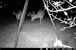 692 Co Rd 3318, Greenville, TX 75402 - Photo 39