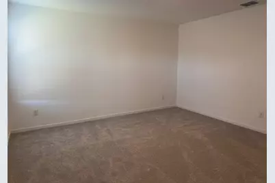 3116 Burmese Street, Providence Village, TX 76227 - Photo 21