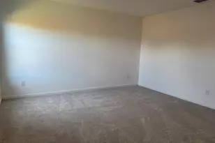 3116 Burmese St, Providence Village, TX 76227 - Photo 13