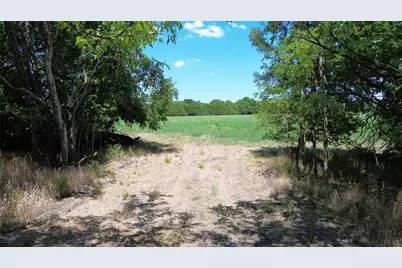 Tbd Cr 3140, Cooper, TX 75432 - Photo 9