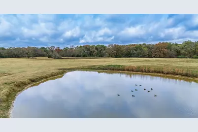 Tbd Fm 154, Cooper, TX 75432 - Photo 3