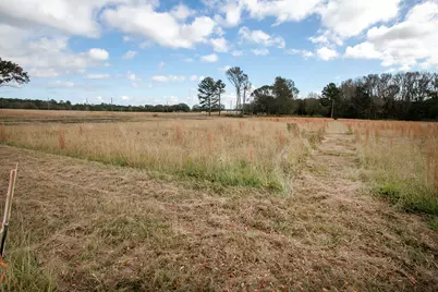 Lt 3 0 Tbd Fm 1892, Frankston, TX 75763 - Photo 3