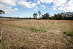 Lt 3 0 Tbd Fm 1892, Frankston, TX 75763 - Photo 3