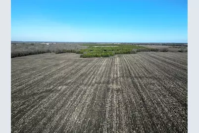 99 Ac County Road 4914, Commerce, TX 75428 - Photo 5