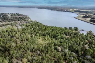 Lt 2 0 Tbd Fm 1892, Frankston, TX 75763 - Photo 7