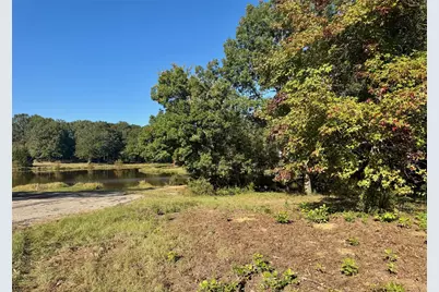 Lot 18 County Road 1216, Pittsburg, TX 75686 - Photo 1
