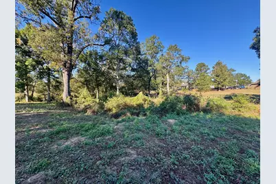 Lot 18 County Road 1216, Pittsburg, TX 75686 - Photo 5