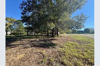 Lot 18 County Road 1216, Pittsburg, TX 75686 - Photo 3