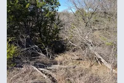 2045 Canyon Wren Loop, Graford, TX 76449 - Photo 9