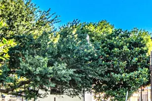 3407 Samoan Ct, Granbury, TX 76048 - Photo 3