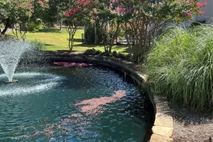 4223 Castle Rock Ct, Irving, TX 75038 - Photo 27