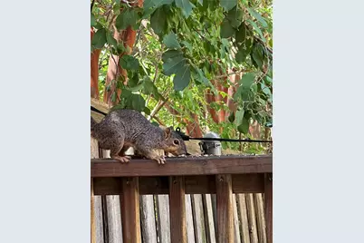 4223 Castle Rock Court, Irving, TX 75038 - Photo 25