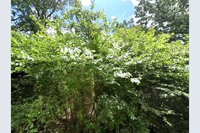 0 Lakeview Drive, Quinlan, TX 75474 - Photo 3