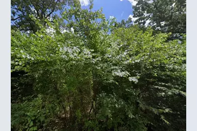 00 Lakeview Drive, Quinlan, TX 75474 - Photo 3