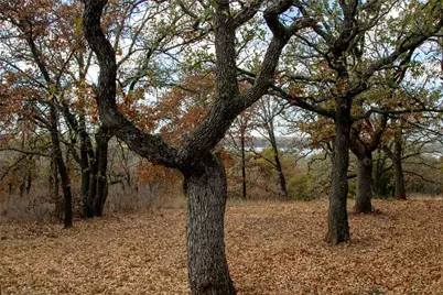 371 Nocona Drive, Nocona, TX 76255 - Photo 25