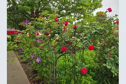 266 Old Spanish Trail, Valley View, TX 76272 - Photo 25