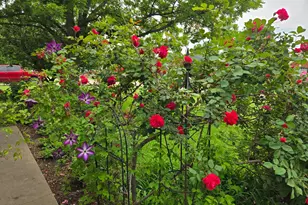 266 Old Spanish Trail, Valley View, TX 76272 - Photo 25