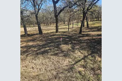 196 Johnston Lane, Runaway Bay, TX 76426 - Photo 9