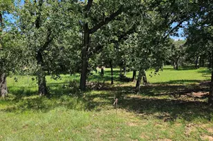 196 Johnston Ln, Runaway Bay, TX 76426 - Photo 1