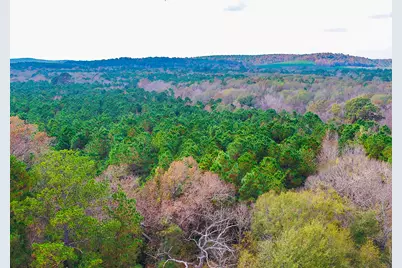 0 Us-259 N, Ore City, TX 75640 - Photo 5