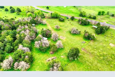 5921 Fm 636, Kerens, TX 75144 - Photo 13