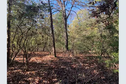 905 W Cayuga Drive, Athens, TX 75751 - Photo 5