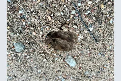 2112-C County Road 126, Gordon, TX 76453 - Photo 7