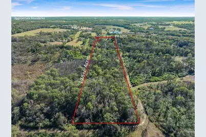 191 Pr 5701, Grand Saline, TX 75140 - Photo 5