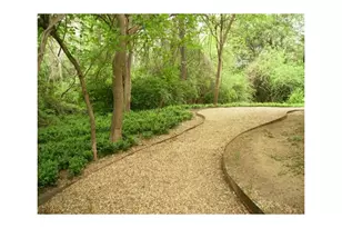 4845 Cedar Springs Rd, Dallas, TX 75219 - Photo 13